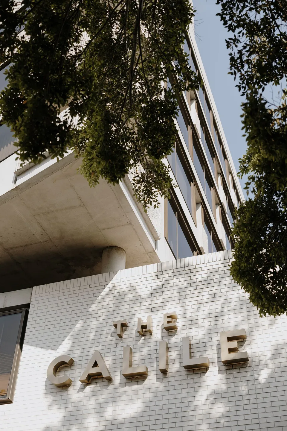 The hotel’s gold lettering on white brick beneath leafy trees, at The Calile Hotel in Fortitude Valley, Brisbane, for an Elopement Collective elopement. Photo by George Bowden.