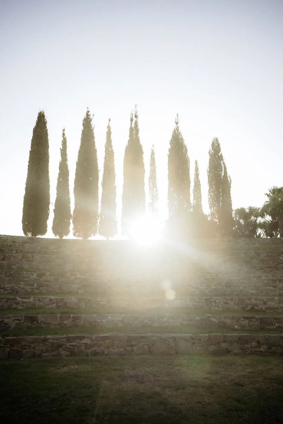 Low sunlight shining between tall cypress trees above Piermont’s stone amphitheatre. At Piermont Retreat on Tasmania’s east coast, for an Elopement Collective elopement. Photograph by Omar of By The Wilde.