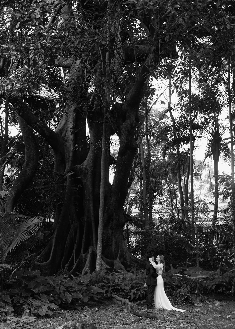 Wide black-and-white portrait of Elyse and Jonathan beneath a huge spreading tree. At Fig Tree Villa in Ewingsdale, Byron Bay, for an Elopement Collective elopement. Photograph by Bulb Creative.