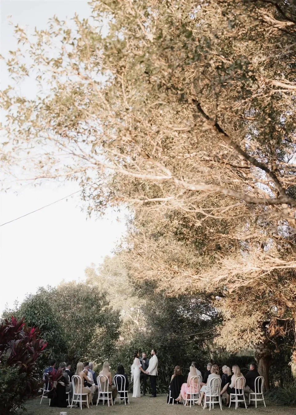 Wide view of guests seated beneath a sunlit tree for Tineeka and Chris’s garden ceremony, in Montville, Sunshine Coast Hinterland, Queensland, for an Elopement Collective elopement. Photo by Bulb Creative.