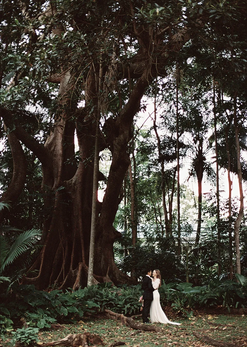 On 35mm film: Wide view of Elyse and Jonathan beneath a large spreading tree. At Fig Tree Villa in Ewingsdale, Byron Bay, for an Elopement Collective elopement. Photograph by Bulb Creative.