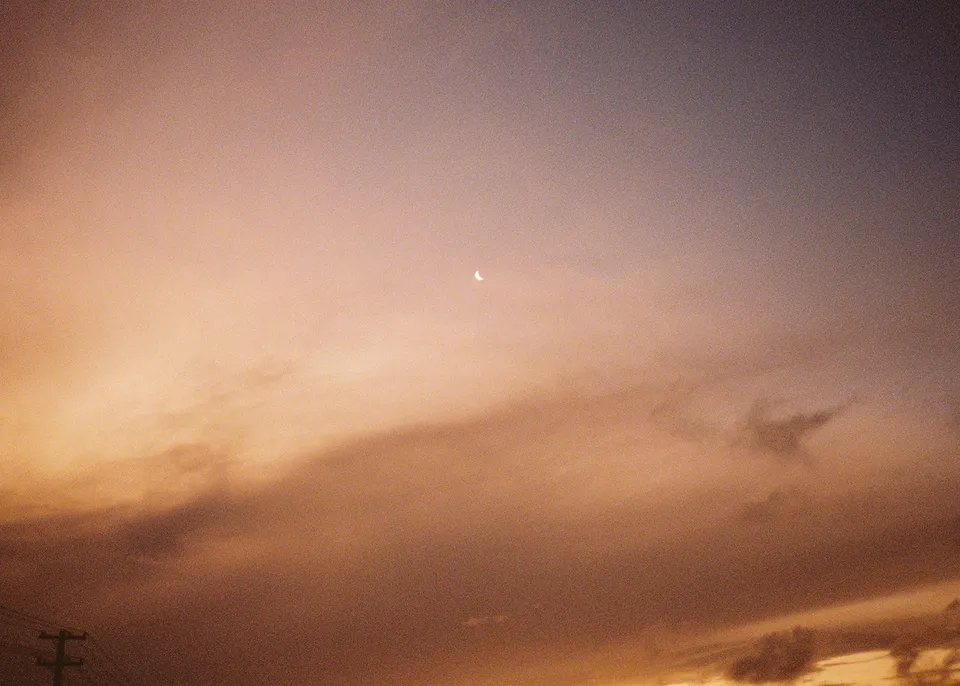On 35mm film: A softly glowing sky above the garden at dusk. At Fig Tree Villa in Ewingsdale, Byron Bay, for an Elopement Collective elopement. Photograph by Bulb Creative.