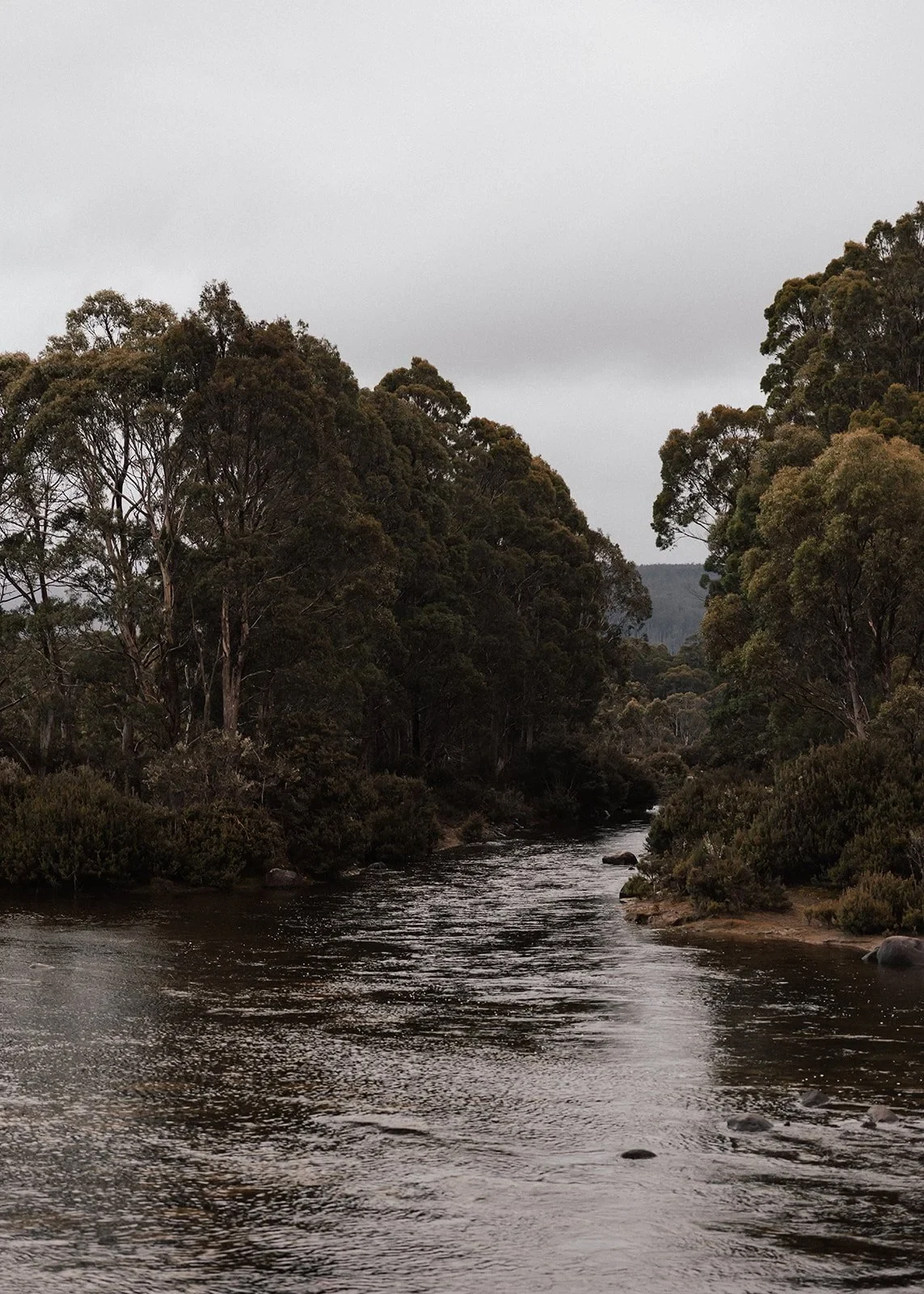 Water flowing over rocks through dense green bush near the lakeside elopement setting, at Pumphouse Point, Lake St Clair, Tasmania, for an Elopement Collective elopement. Photo by Bulb Creative.